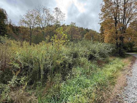 0 Joe's Run Road Mannington WV 26582