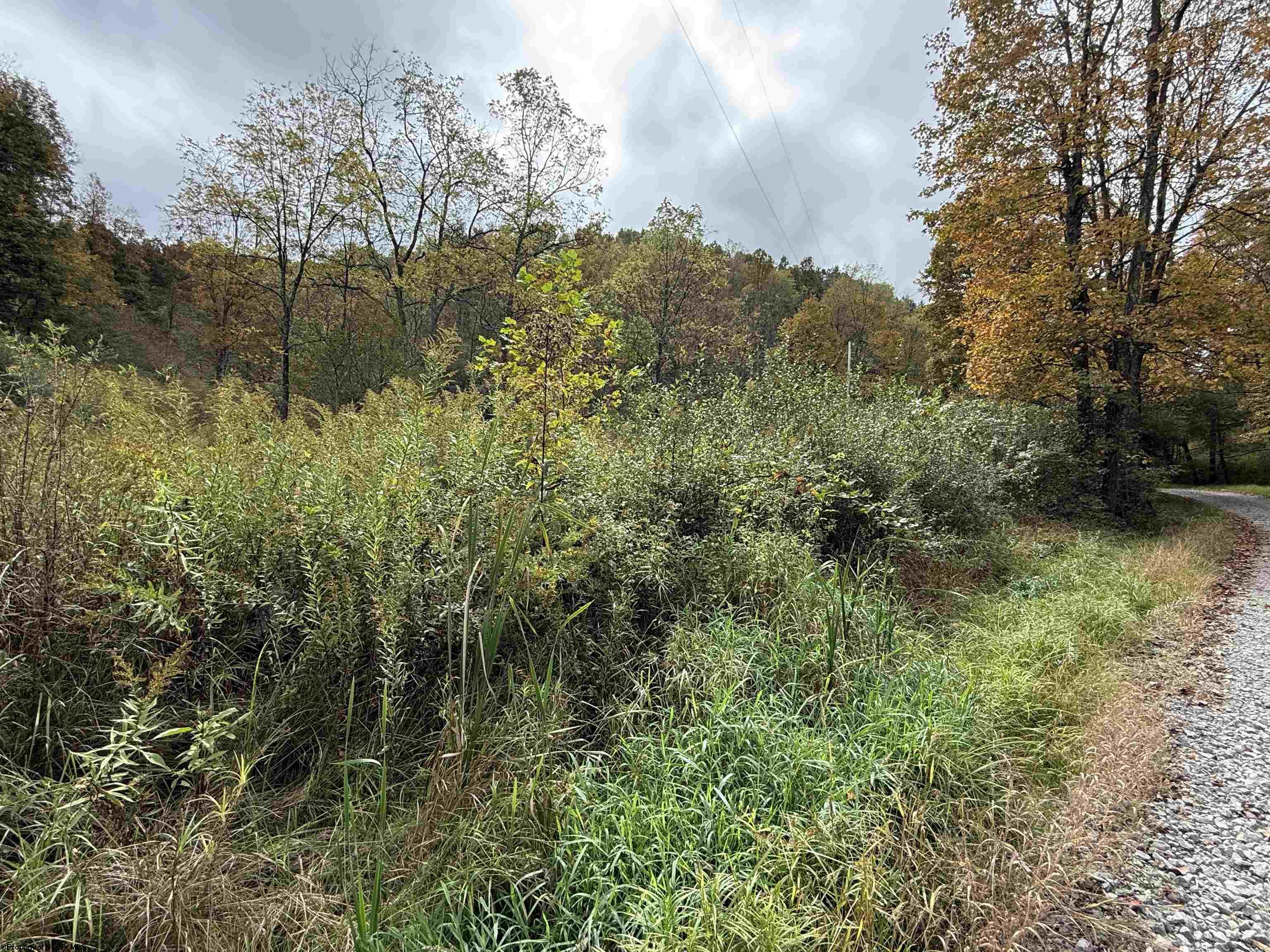 0 Joe's Run Road Mannington WV 26582