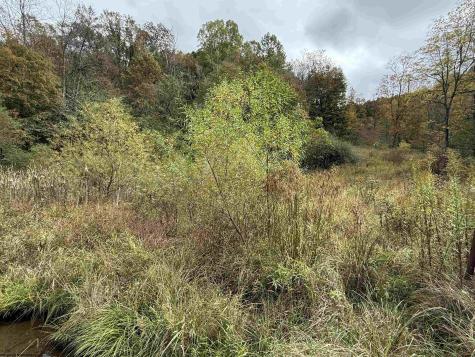 0 Joe's Run Road Mannington WV 26582