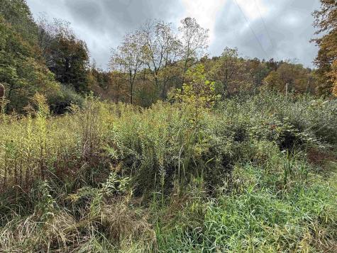 0 Joe's Run Road Mannington WV 26582