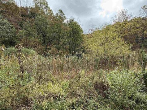 0 Joe's Run Road Mannington WV 26582