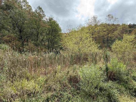 0 Joe's Run Road Mannington WV 26582