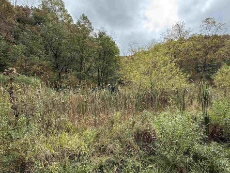 0 Joe's Run Road Mannington WV 26582