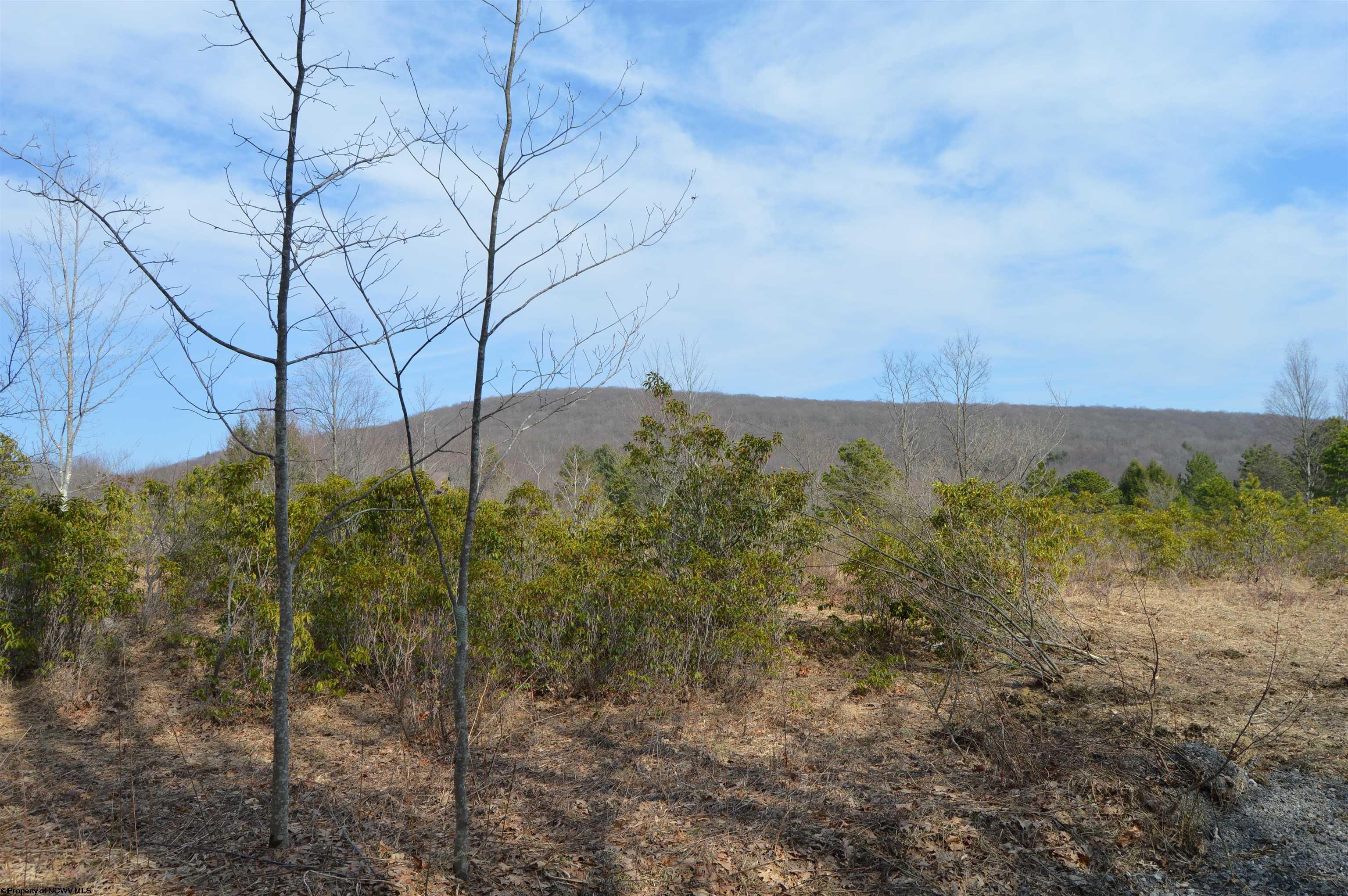 1 Grosbeak Drive Terra Alta WV 26764