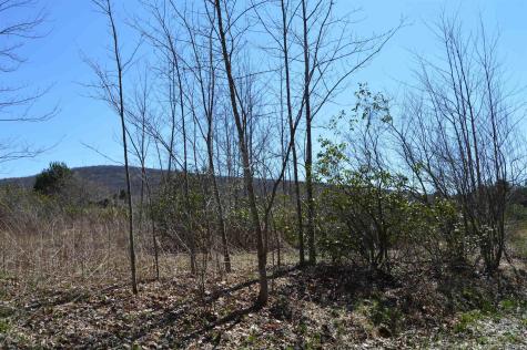 1 Grosbeak Drive Terra Alta WV 26764