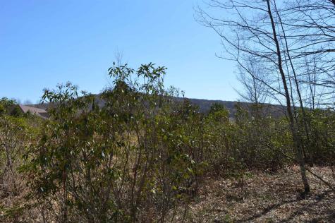 1 Grosbeak Drive Terra Alta WV 26764