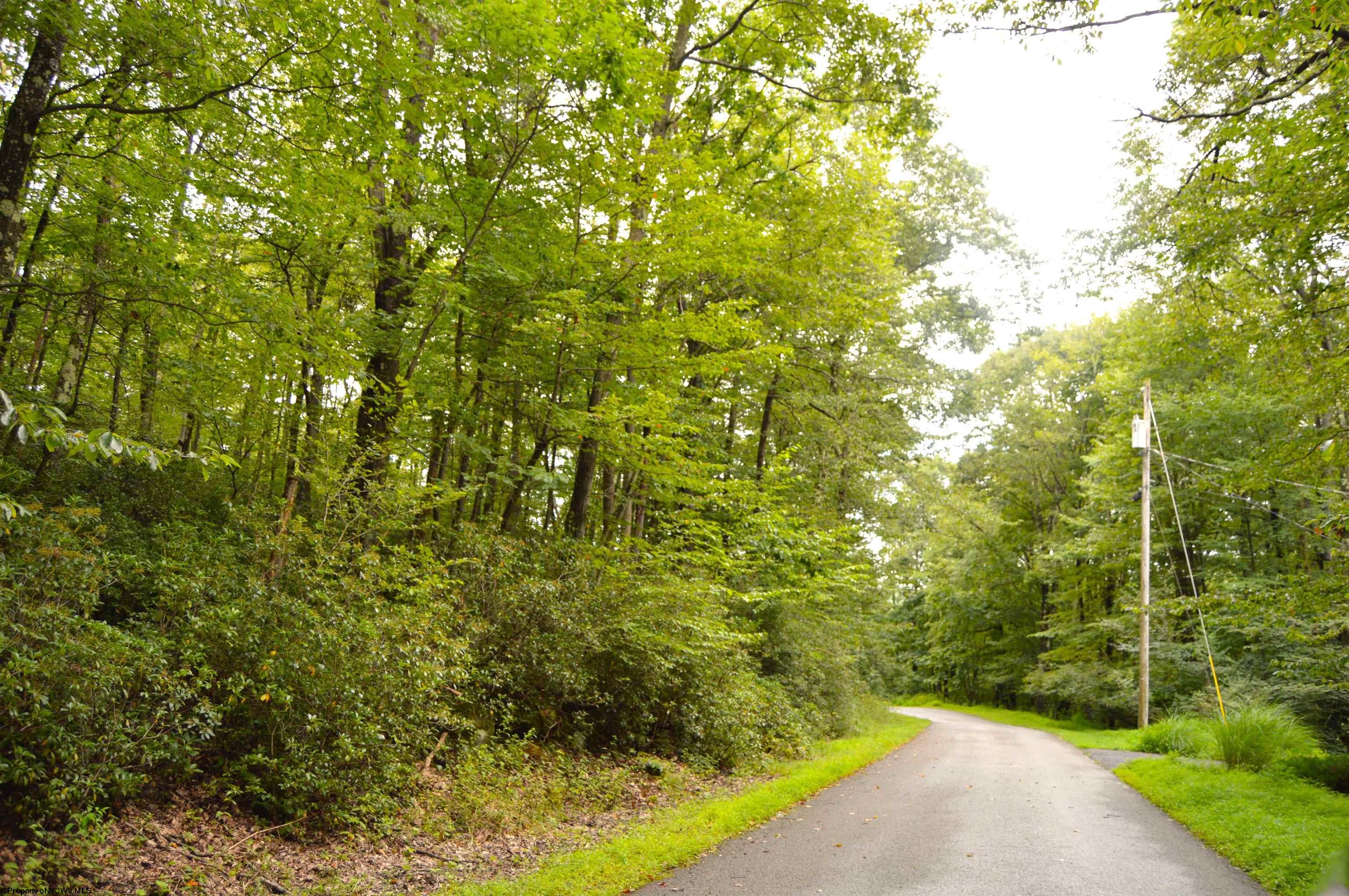 132 Dogwood Lane Terra Alta WV 26764