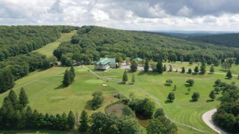 132 Dogwood Lane Terra Alta WV 26764