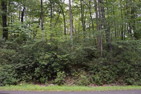 132 Dogwood Lane Terra Alta WV 26764
