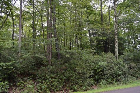 132 Dogwood Lane Terra Alta WV 26764