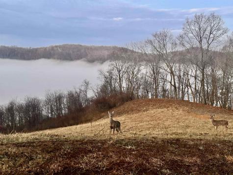 0 Lakeview Heights Horner WV 26372