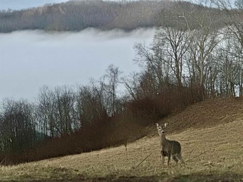 0 Lakeview Heights Horner WV 26372