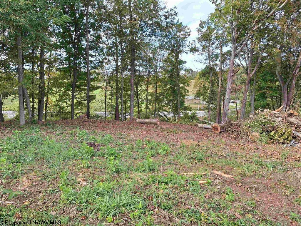 0 Bluebell Drive Clarksburg WV 26301