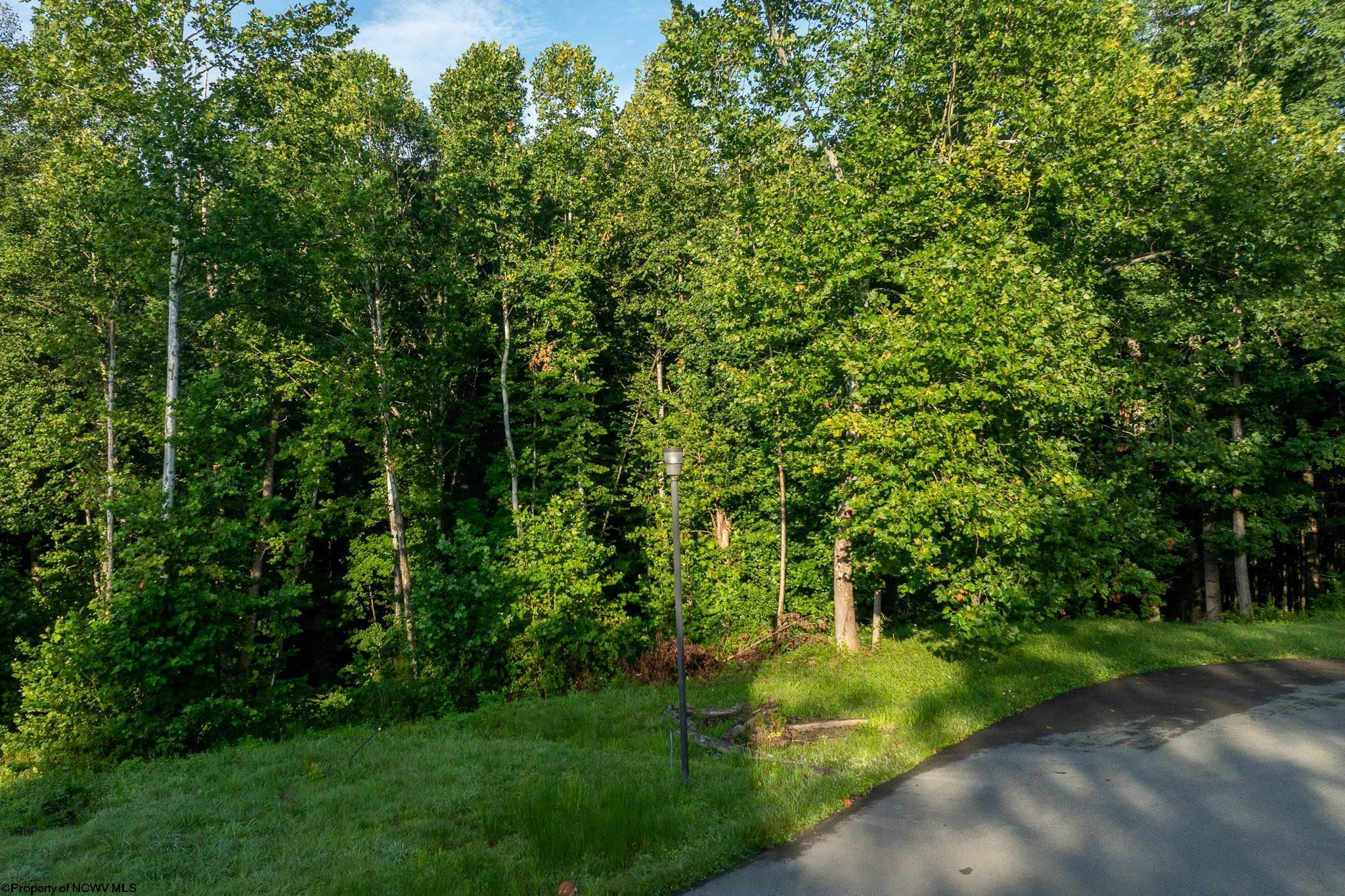247 Coventry Drive Bridgeport WV 26330