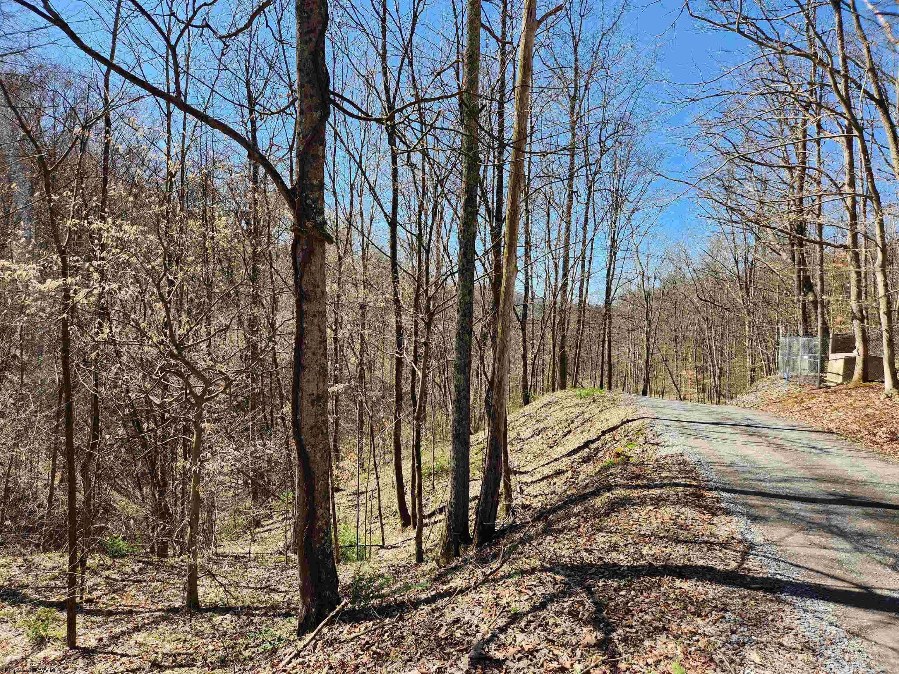 0 Lynn Chapel Road Grafton WV 26354