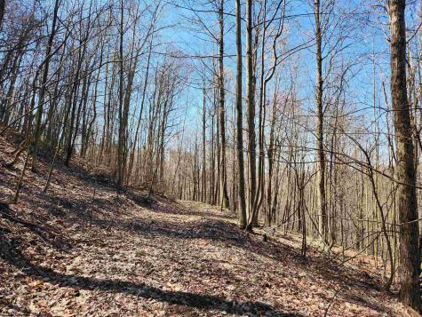 0 Lynn Chapel Road Grafton WV 26354