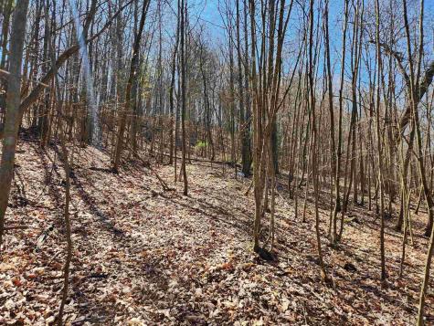 0 Lynn Chapel Road Grafton WV 26354