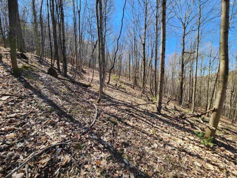 0 Lynn Chapel Road Grafton WV 26354