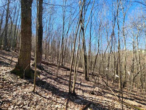 0 Lynn Chapel Road Grafton WV 26354