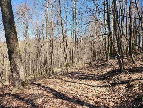 0 Lynn Chapel Road Grafton WV 26354