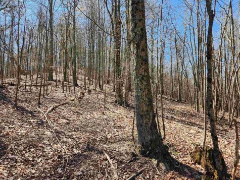 0 Lynn Chapel Road Grafton WV 26354