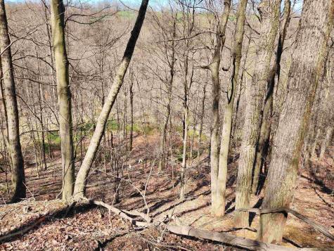 0 Lynn Chapel Road Grafton WV 26354