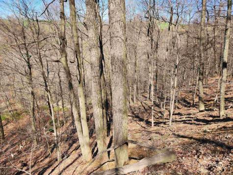 0 Lynn Chapel Road Grafton WV 26354