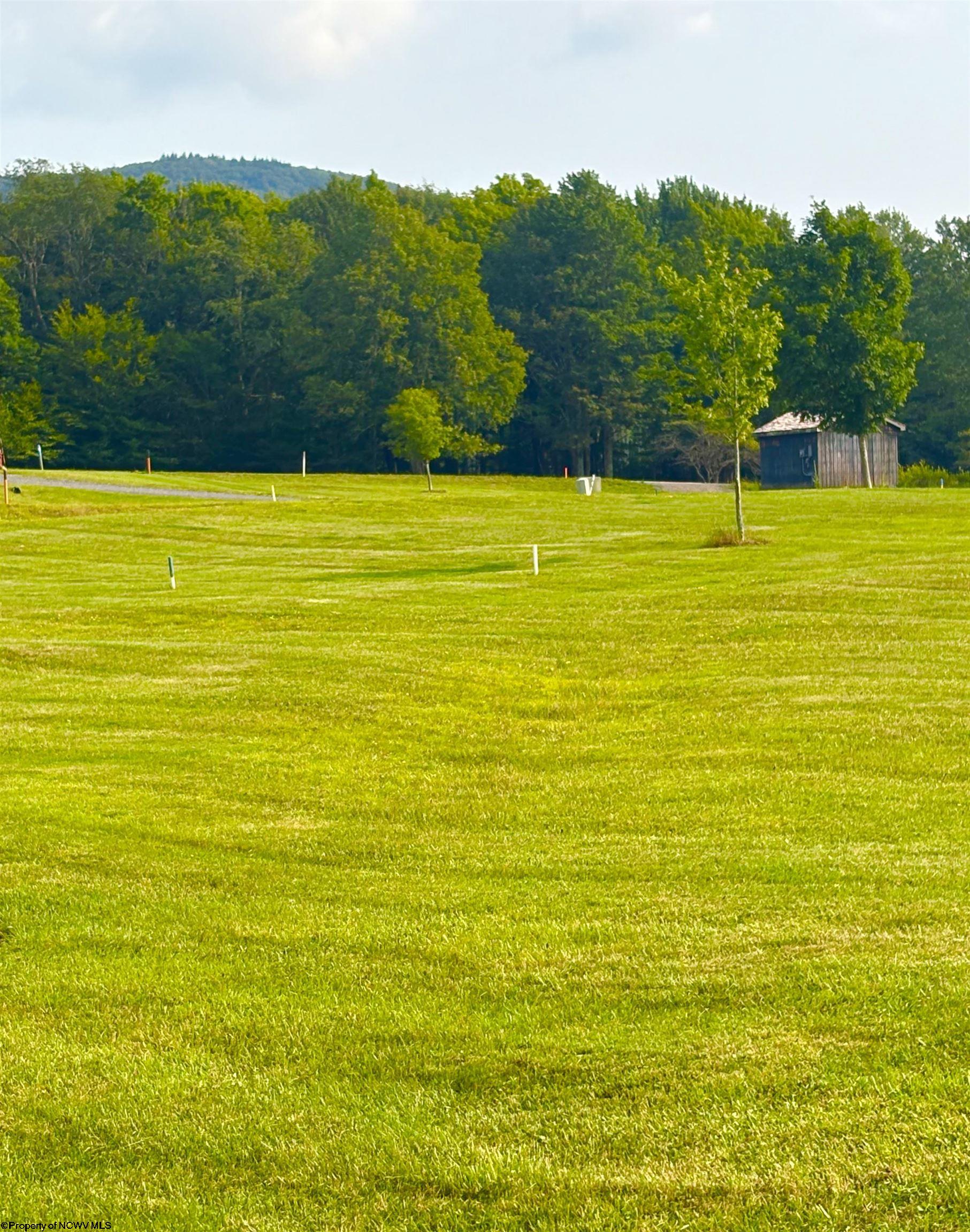31 Katy Lane Davis WV 26260