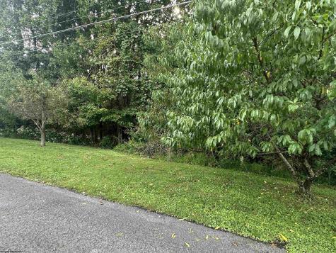 0 Mcdonald Street Kingwood WV 26537