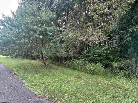 0 Mcdonald Street Kingwood WV 26537