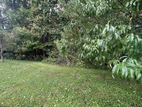 0 Mcdonald Street Kingwood WV 26537