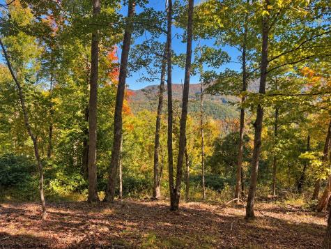 0 Beckys Creek Road Huttonsville WV 26273