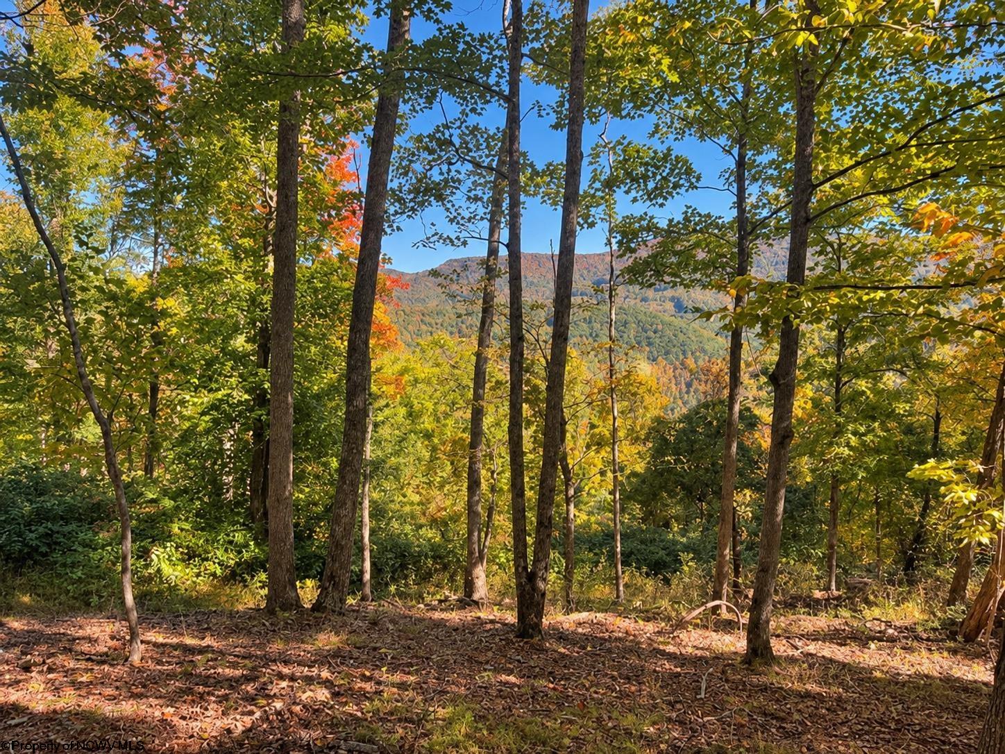 0 Beckys Creek Road Huttonsville WV 26273