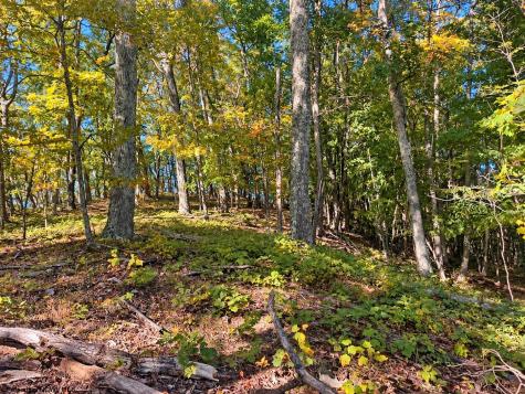 0 Beckys Creek Road Huttonsville WV 26273