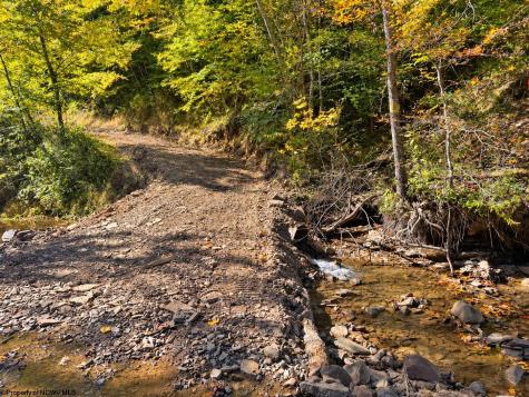 0 Beckys Creek Road Huttonsville WV 26273