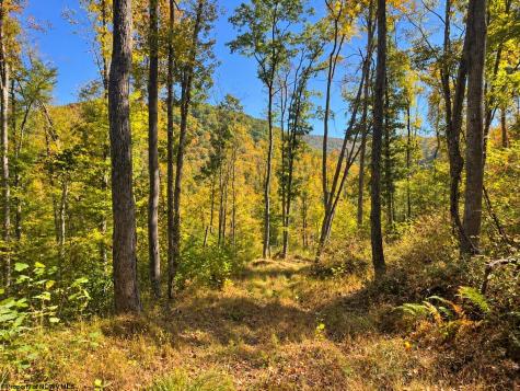 0 Beckys Creek Road Huttonsville WV 26273