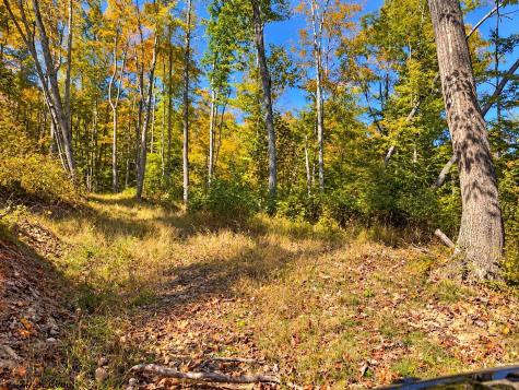 0 Beckys Creek Road Huttonsville WV 26273