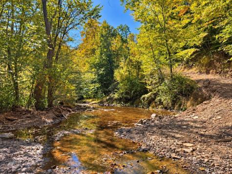 0 Beckys Creek Road Huttonsville WV 26273