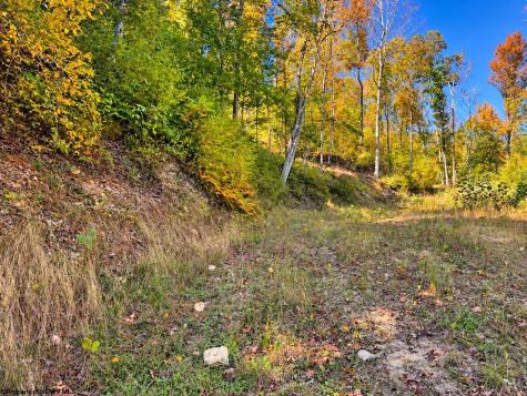 0 Beckys Creek Road Huttonsville WV 26273