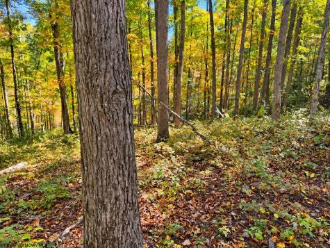 0 Beckys Creek Road Huttonsville WV 26273