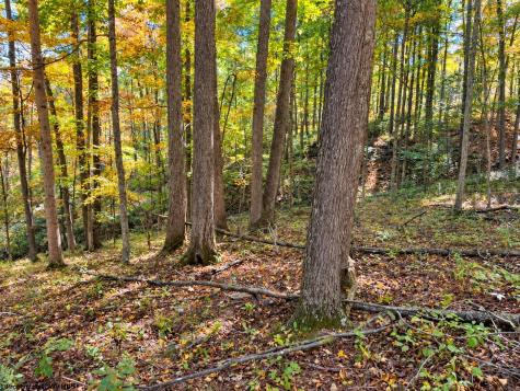 0 Beckys Creek Road Huttonsville WV 26273