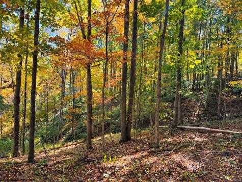 0 Beckys Creek Road Huttonsville WV 26273
