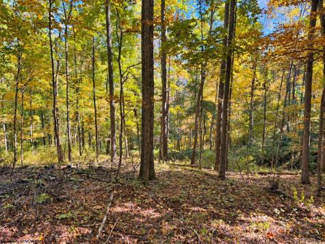 0 Beckys Creek Road Huttonsville WV 26273