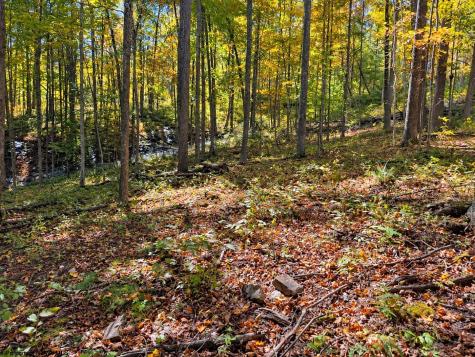0 Beckys Creek Road Huttonsville WV 26273