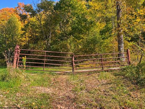 0 Beckys Creek Road Huttonsville WV 26273