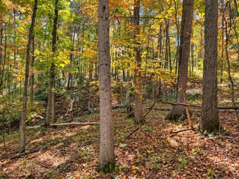 0 Beckys Creek Road Huttonsville WV 26273