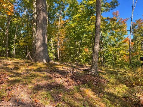 0 Beckys Creek Road Huttonsville WV 26273