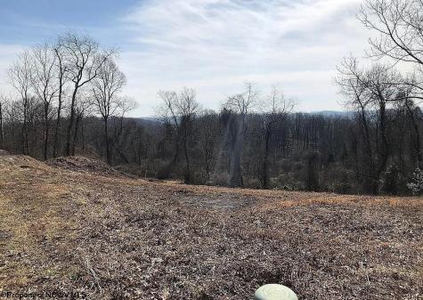 32 Springston Drive Fairmont WV 26554
