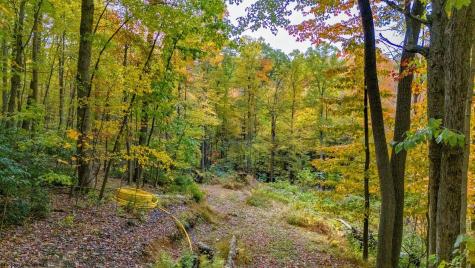 21 Snake Hill Road Morgantown WV 26508