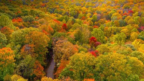 21 Snake Hill Road Morgantown WV 26508